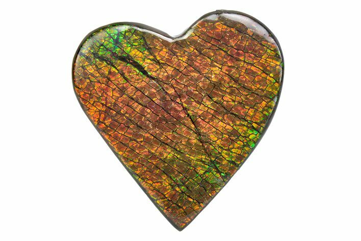 Flashy Ammolite (Fossil Ammonite Shell) Heart - Greens & Yellows #378474